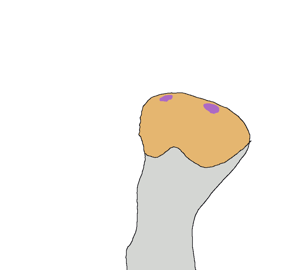 Sock puppet idly bouncing back and forth. When an option is chosen it begins to flail around as if speaking.