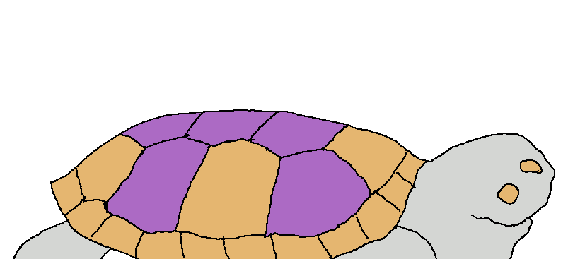 logo of a small turtle chewing